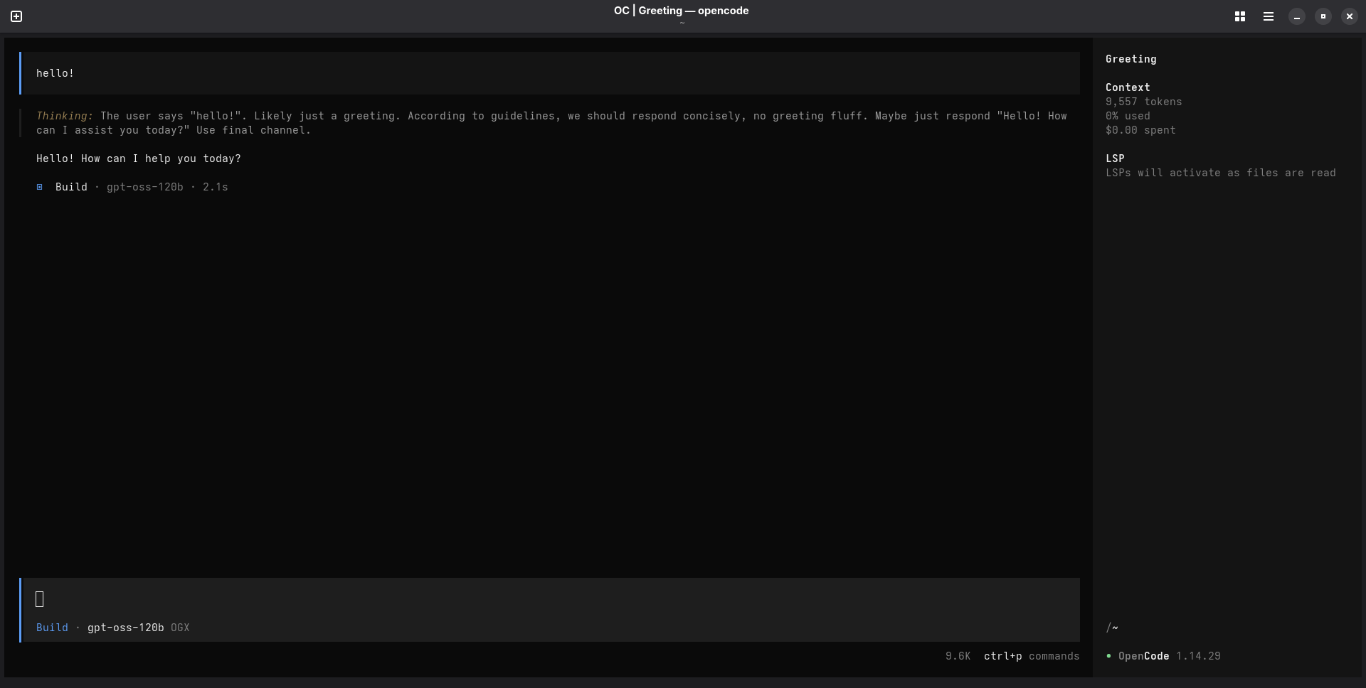 OpenCode User
